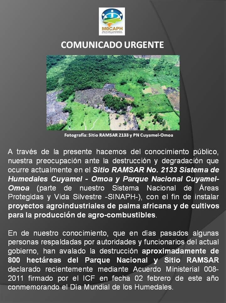 4 EPN Cuyamel-Omoa: apoyo a CCO para elevar denuncia ambiental y extender pronunciamiento.