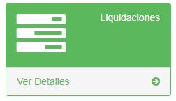 4.2) LIQUIDACIONES En esta sección podremos acceder a todas nuestras Liquidaciones (Avisos de Pago- Resumen de Cuenta).