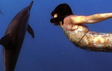 TOGETHER DANCING WITH SPINNER DOLPHINS Sinopsis: En el profundo azul del delfín forman una tierna relación a través del lenguaje de