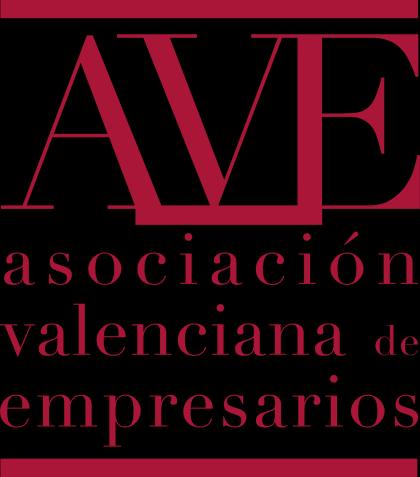 INTERVENCIÓN DEL PRESIDENTE DE AVE EN LA CLAUSURA: CONCLUSIONES Y PROPUESTAS