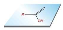 Estructura Los ácidos carboxílicos son moléculas con geometría