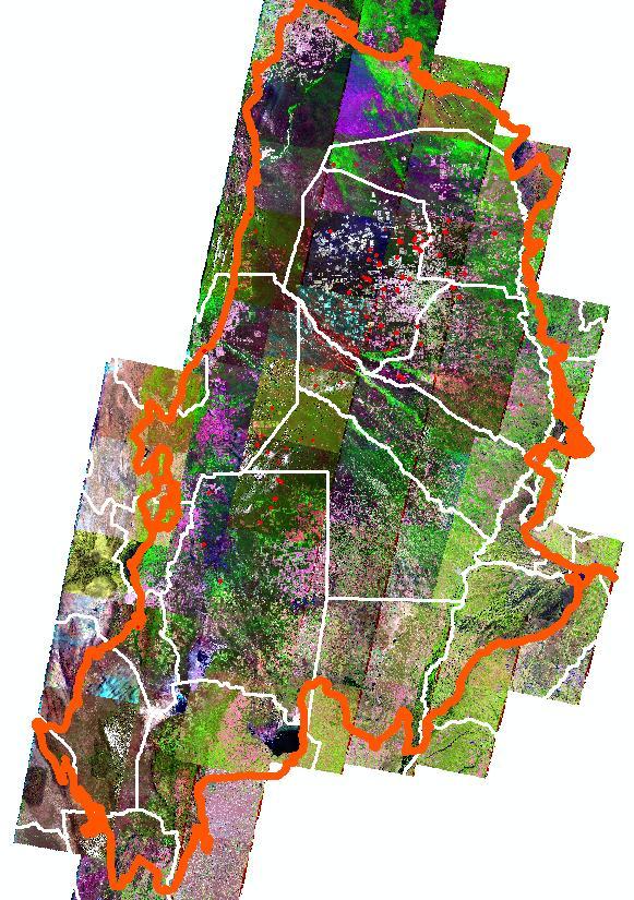Interpretación visual Mosaico Base Mosaico de Imágenes Landsat 5 a 8 del