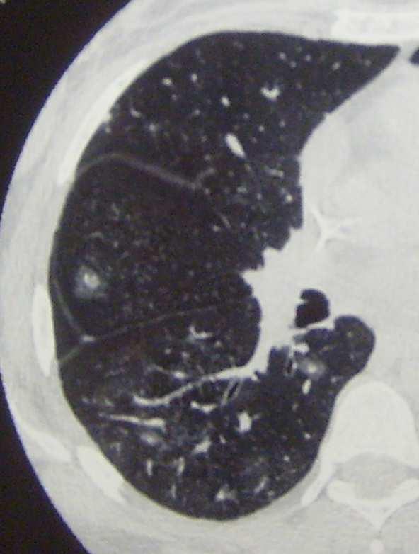 Radiología.