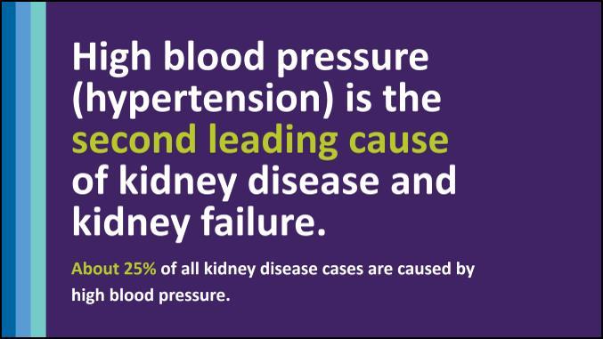 La presión arterial alta es la segunda causa principal de la enfermedad y falla de los riñones. Es posible que hayan escuchado la palabra hipertensión.