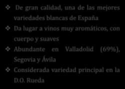 aromáticos, con cuerpo y suaves Abundante en Valladolid (69%),