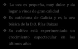 autóctona de Galicia y es la uva básica de la D.O.