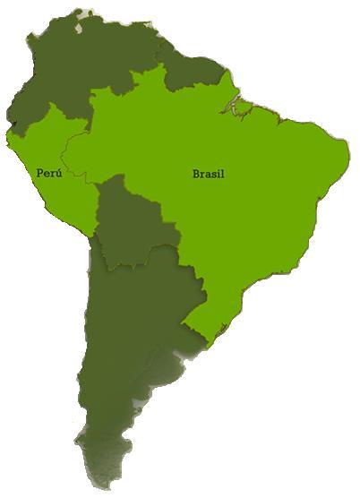 Evolución Comercial Perú - Brasil Exportaciones Perú-Brasil, 2010-2015 (US$ Millones) 2 000 1 800 1 600 1 400 1 200 1 000 800 600 400 200 950 258 692 Tradicional No