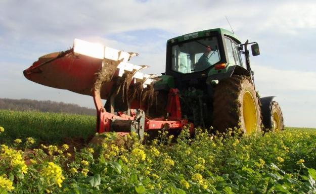 fertilizantes/pesticidas Utilización de semillas seleccionadas Incremento del regadío y la producción