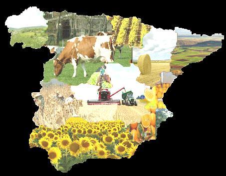 1 CONDICIONANTES DE LA ACTIVIDAD AGRARIA EN ESPAÑA 1.2.