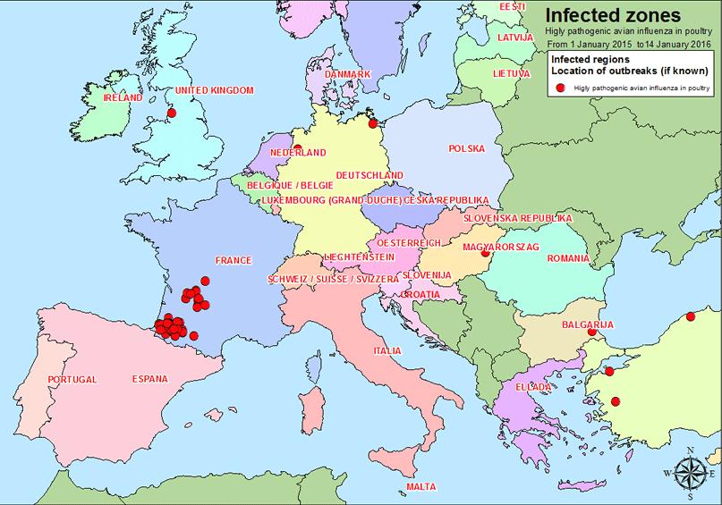 IAAP en Europa Situación actual Inicio 2015: H5N8 Alemania y Hungría H5N1 (origen asiático) Bulgaria y Rumania Julio 2015: H7N7 UK y