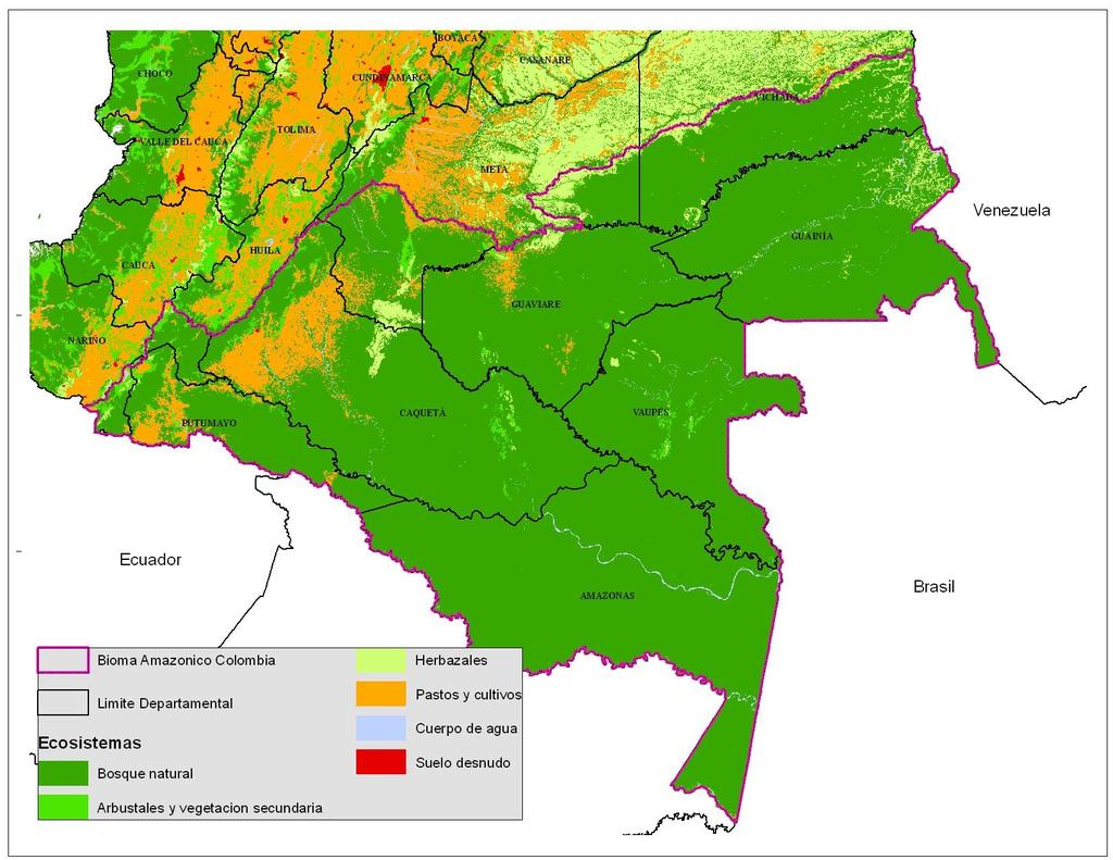 Tipo Area (ha) % Bosque natural 43,666,058.25 90.1% Pastos y cultivos 2,230,846.62 4.6% Herbazales 1,195,314.84 2.5% Arbustales y V.
