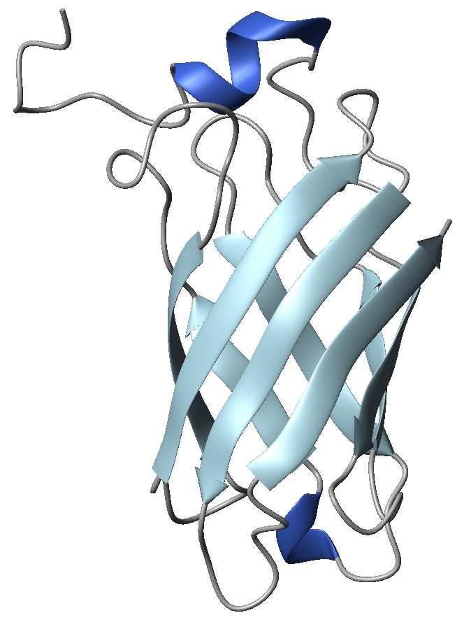 Proteína de unión al factor H del complemento humano Factor H Binding Protein (fhbp) Se une con el factor H, lo que permite la supervivencia bacteriana en la sangre al evadir la vía alternativa de