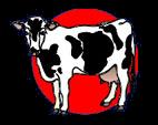 Proceso de la infección en el rodeo Vacas no infectadas Vacas con mastitis pathogen