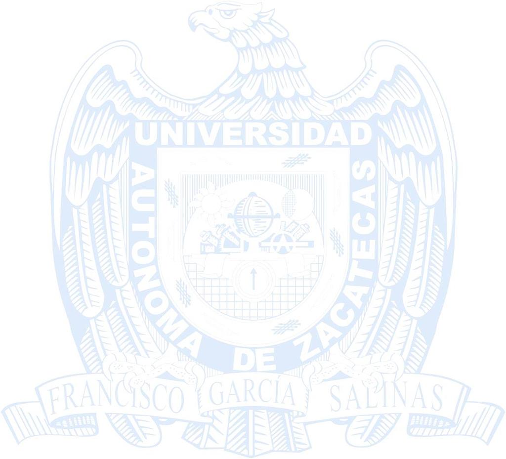 UNIVERSIDAD AUTÓNOMA DE ZACATECAS Francisco García Salinas ÁREA DE CIENCIAS DE LA INGENIERÍA UNIDAD ACADÉMICA DE INGENIERÍA I PROGRAMA DE INGENIERÍA