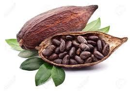Cacao * Los principales compradores mundiales de cacao son Países Bajos y EEUU, donde ocupamos el 8 y 6 respectivamente. * ocupa el 4 lugar como abastecedor del mercado Belga.