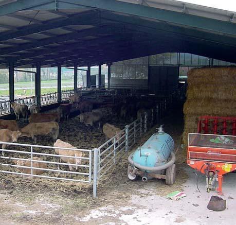 Los estiércoles de vacuno de carne y ovino de leche tienen un contenido en fósforo intermedio.