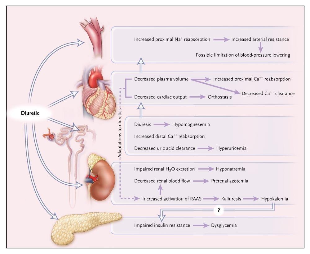 Potential Complications of Diuretics and Their