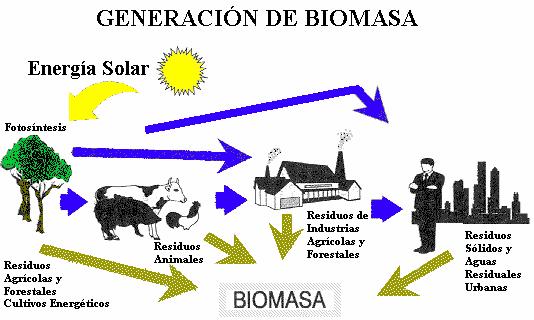 Proceso de generación de la biomasa Fuente: Instituto