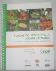 En esta publicación se incluyeron los resumenes de algunos protocolos de exportación de fruta de los países objetivos de este PDT (México, Brasil, EEUU), los cuales incluyen procesos alternativos a