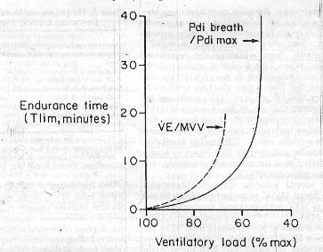 Este índice aumenta en COPD,FQ, Enfermedad Neuromuscular El índice T/T depende de : Grado de atrapamiento aéreo Índice de masa muscular % de fibras oxidativas Entrenamiento muscular Fija el umbral de