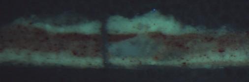 Fotografía al microscopio óptico con luz ultravioleta en de la muestra ARG-ZEUS2 1)En la capa 1 se identifican abundantes granos de blanco de plomo con algunos granos