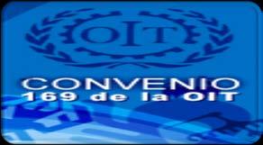 requisitos establecidos por el Estado Peruano, el Convenio N 169 de la OIT,