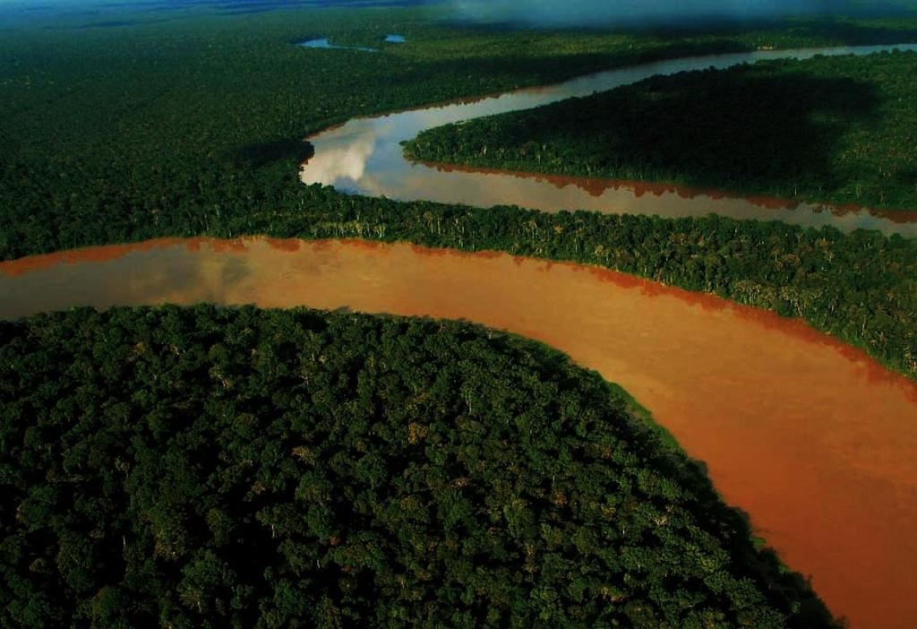 EJES DE LA PROPUESTA: EJE 1: Estrategia de Bosques y Cambio Climático para la Amazonía Poner en valor el bosque a través de los bionegocios, gestión y conservación de bosques, desarrollo del mercado
