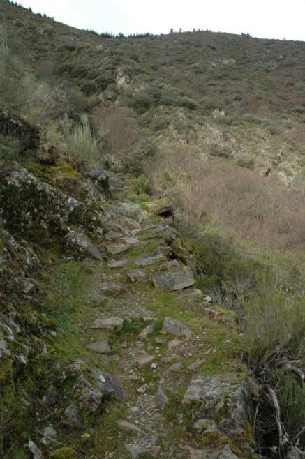 En este punto la senda que recomendamos seguir se ha desviado hacia la izquierda, trepando ladera arriba (Autor: Alipio García. Febrero, 2014).