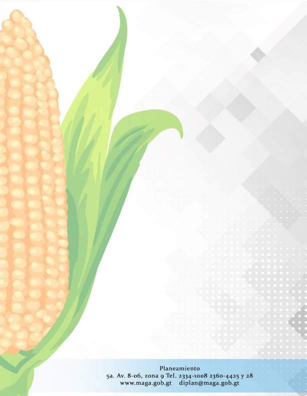Aunque se muestra un crecimiento continuo de la producción, todavía es necesario importar maíz para cubrir la demanda total y estacional.