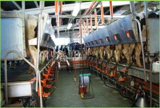 0 Gonzalo Fernández 2 Seguridad alimentaria y producción de leche Gerardo Rivero Cuesta Los parámetros que determinan la calidad de la leche. El sistema de pago por calidad y el LIGAL.