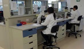 Ubicación Distribución Procesos, documentos y registros Reporte o sistema de vigilancia Bioseguridad en el laboratorio