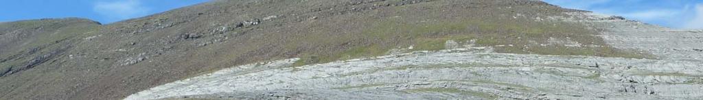 Tipo de seguimiento RESECOM - HIC 7240* Formaciones pioneras alpinas de Caricion bicoloris atrofuscae Nivel 1.