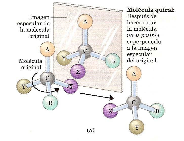 Características de las biomoléculas: La mayoría de las biomoléculas