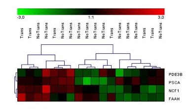 Con los datos de los niveles de metilación de los 4 CpGs obtenidos mediante pirosecuenciación en las 26 muestras de LMMC de la serie alemana incluidas en el estudio, se realizó una nueva tabla para