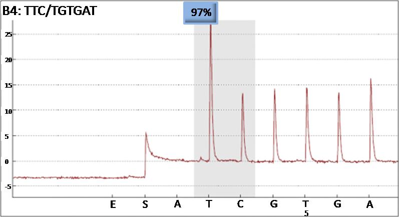 b) Pirograma correspondiente a un paciente diagnosticado de LMMC no transformado, se muestra la secuenciación del CpG del interés en el gen PDE3B.