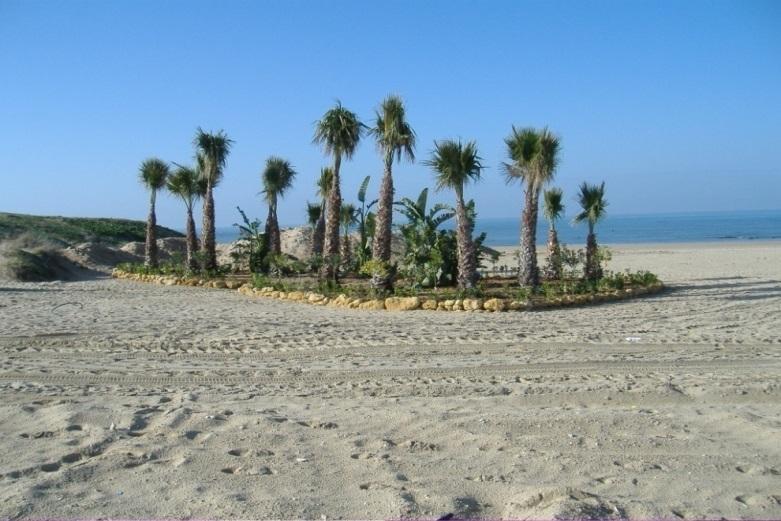 Reducción de playa y dunas