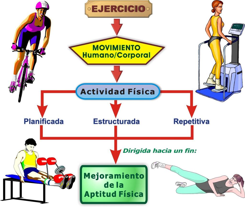 NOTA. Adaptado de: "Physical Activity, Exercise, and Physical Fitness: Definitions and Distinctions for Health-Related Research", por: C. J. Caspersen, K. E. Powell, y G.