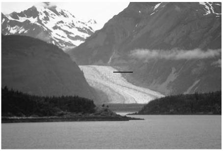 Glaciar 30 La imagen muestra una clase de glaciar que puede tener varios metros de espesor. En este paisaje, cuál de los siguientes factores es más afectado directamente por esta clase de glaciar?