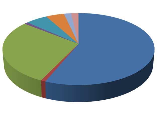 Tenencia 2% 5% 4% 2% Propia 29% 56% Arrendador Arrendatario Medieria Figura Nº 11.