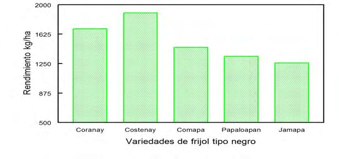 Ensayo de rendimiento ciclo O-I 2013/2014 en Campo Experimental Santiago Ixcuintla. CIRPAC. INIFAP. Figura 4.