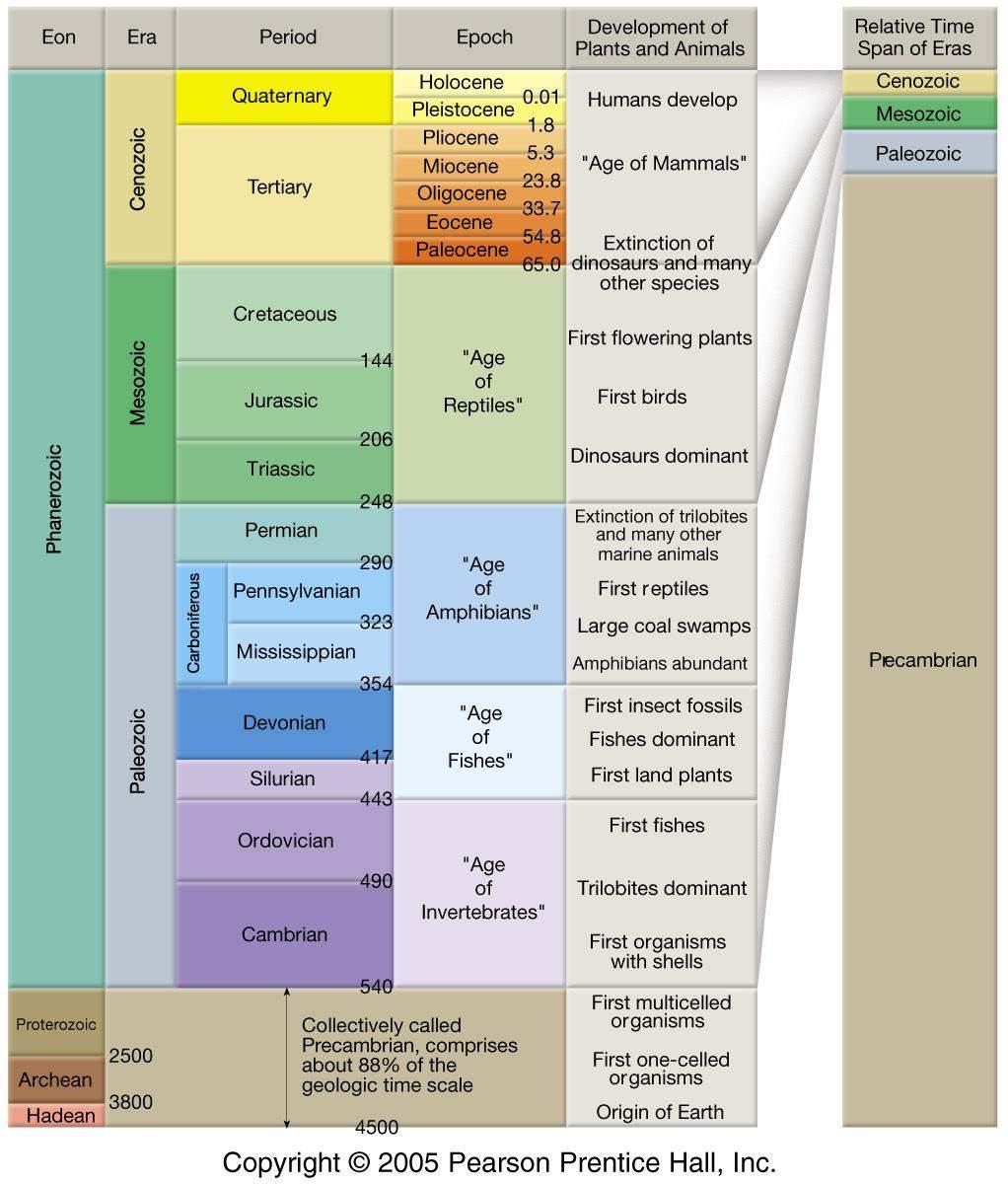 Eón Período Época Desarrollo de plantas y animales Espacio de tiempo relativo de las eras Fanerozoico Mesozoico Cenozoico Cuaternario Terciario Cretácico Jurásico Tirásico Pérmico Pensilvaniense