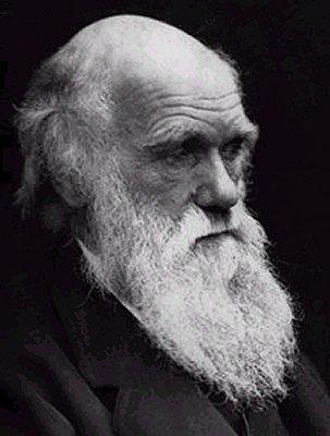 Nuevas teorías Selección natural: Charles Darwin: La naturaleza selecciona los rasgos más competitivos y estos se