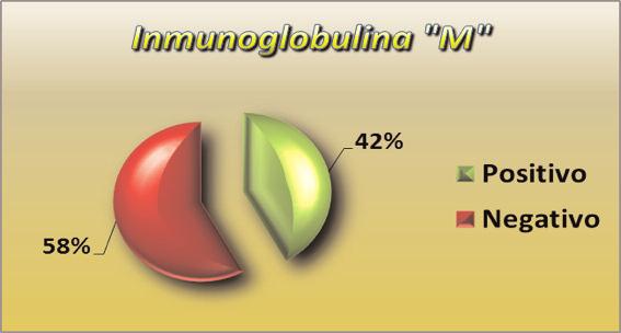 El estudio serológico, Inmunoglobulina M fue positiva en 26 pacientes, 42%, y negativa en 36 pacientes, 58%. (Tabla Nº 4 y Gráfico 4). Tabla Nº 4.