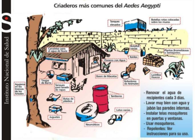 Para prevenir el dengue y el Chikungunya elimine los criaderos: Para más información en Colombia,
