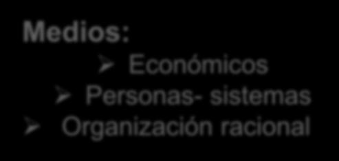Económicos Personas- sistemas Organización racional Objetivos