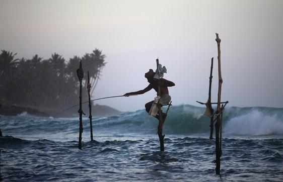 Pescadores zancudos Sri Lanka.
