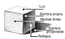 Es la zona de valor intermedio o MEDIA TINTA. ZONA DE SOMBRA PROPIA: Zona opuesta a la dirección de la luz.