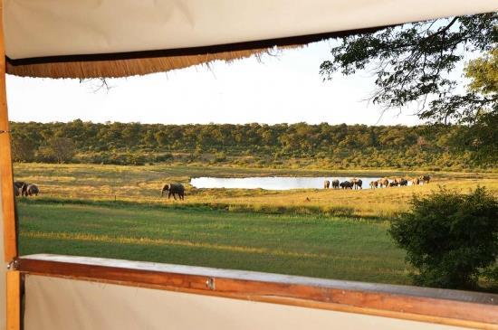 La mayor reserva de Zimbabwe alberga una enorme población de elefantes, así como jirafa, león, búfalo,