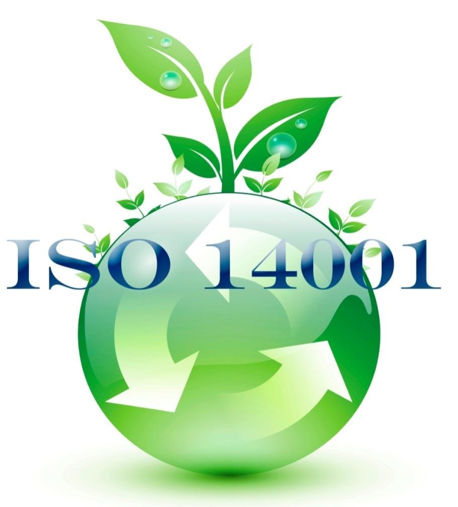 ISO 14001-2004: Sistemas de Gestión Ambiental - Requisitos con orientación para su uso - La información, definiciones y