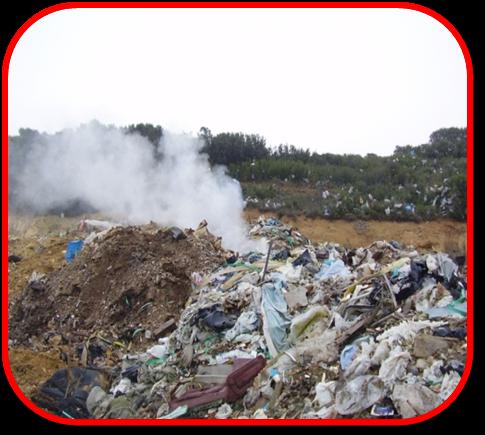 Cada uno de nosotros decide, a su nivel, hacer un gesto por el medio ambiente. Por qué no comenzar con el compostaje?